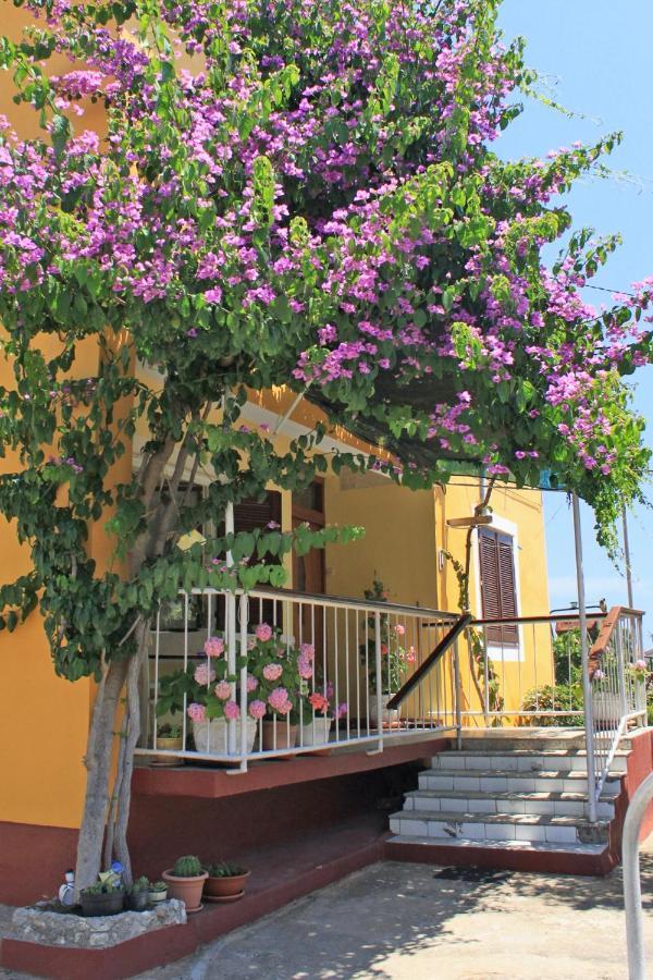 Apartments By The Sea Sali, Dugi Otok - 8110 外观 照片